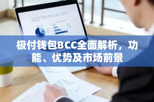 极付钱包BCC全面解析，功能、优势及市场前景