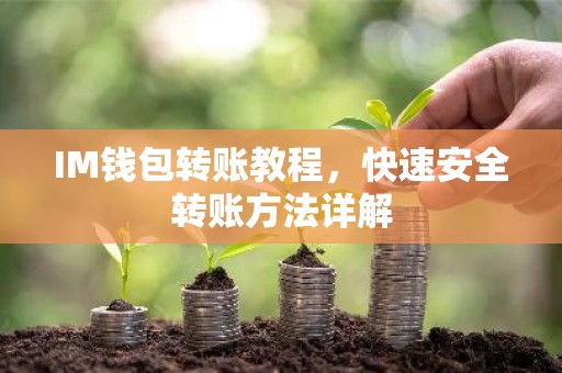 IM钱包转账教程，快速安全转账方法详解