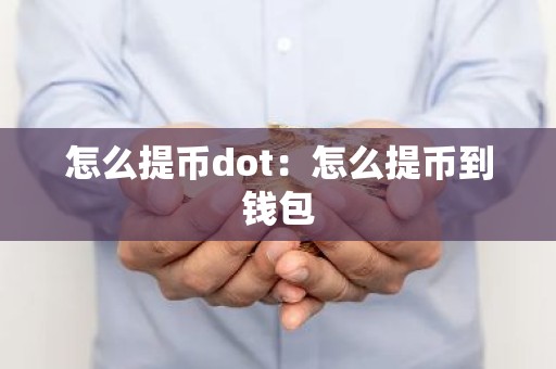 怎么提币dot：怎么提币到钱包