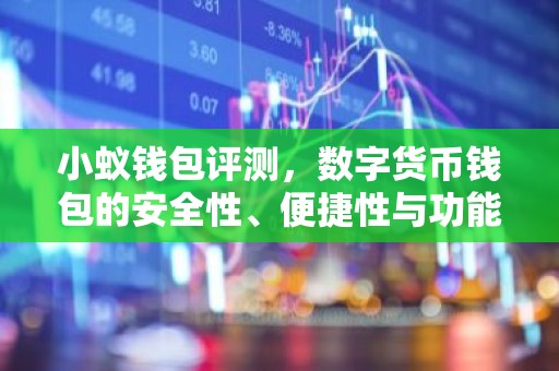 小蚁钱包评测，数字货币钱包的安全性、便捷性与功能解析