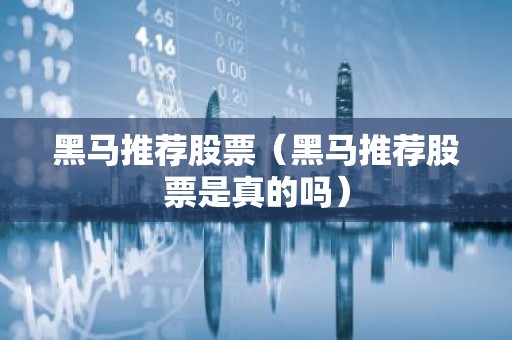 黑马推荐股票（黑马推荐股票是真的吗）