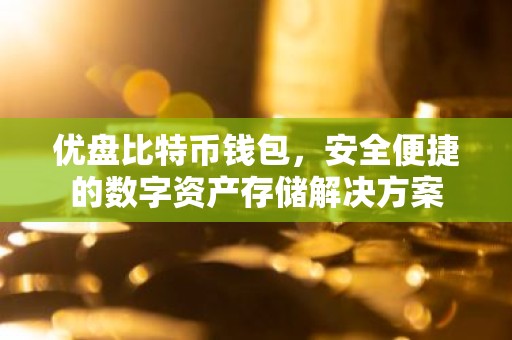 优盘比特币钱包，安全便捷的数字资产存储解决方案