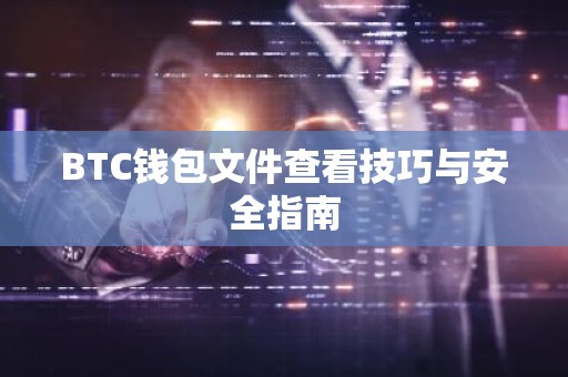 BTC钱包文件查看技巧与安全指南