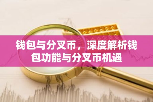 钱包与分叉币，深度解析钱包功能与分叉币机遇