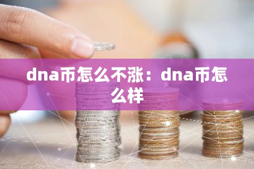 dna币怎么不涨：dna币怎么样