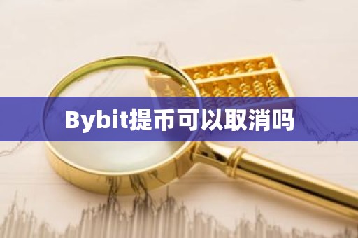 Bybit提币可以取消吗