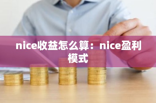 nice收益怎么算：nice盈利模式