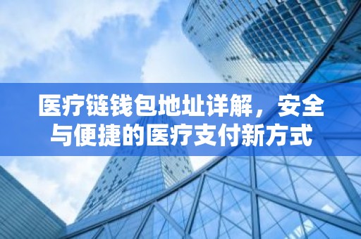 医疗链钱包地址详解，安全与便捷的医疗支付新方式