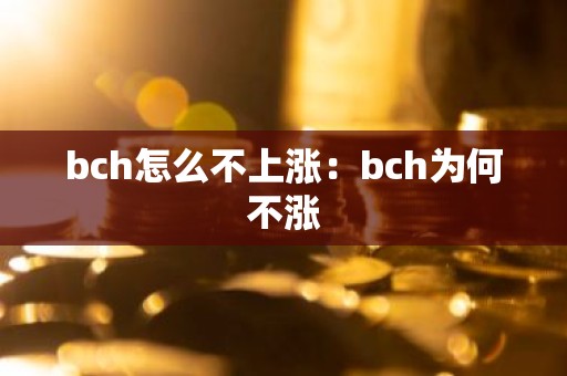bch怎么不上涨：bch为何不涨