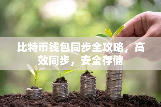 比特币钱包同步全攻略，高效同步，安全存储