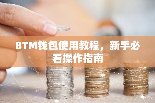 BTM钱包使用教程，新手必看操作指南