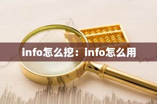 info怎么挖：info怎么用