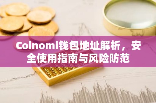 Coinomi钱包地址解析，安全使用指南与风险防范