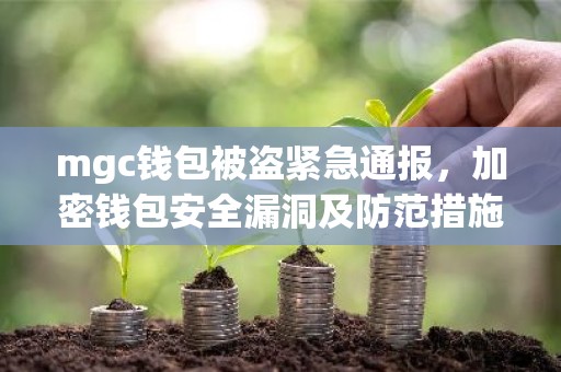 mgc钱包被盗紧急通报，加密钱包安全漏洞及防范措施详解