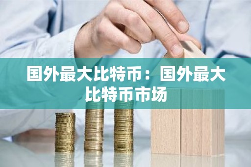 国外最大比特币：国外最大比特币市场