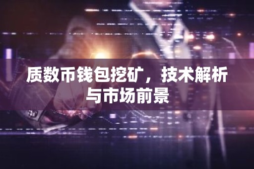 质数币钱包挖矿，技术解析与市场前景