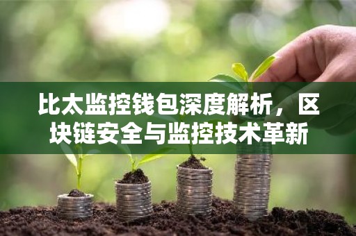 比太监控钱包深度解析，区块链安全与监控技术革新