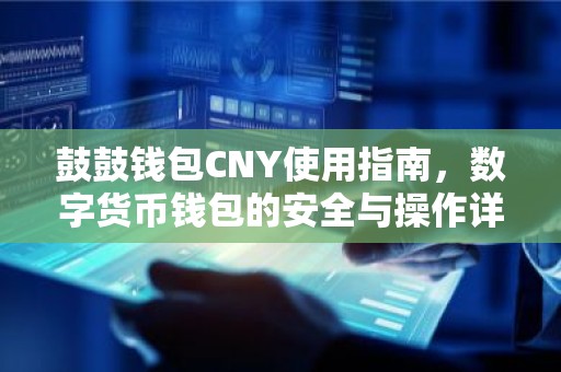 鼓鼓钱包CNY使用指南，数字货币钱包的安全与操作详解
