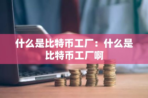什么是比特币工厂：什么是比特币工厂啊