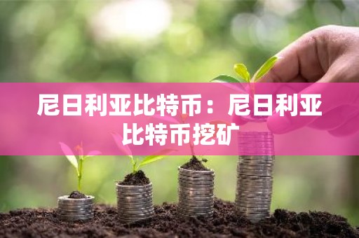 尼日利亚比特币：尼日利亚比特币挖矿