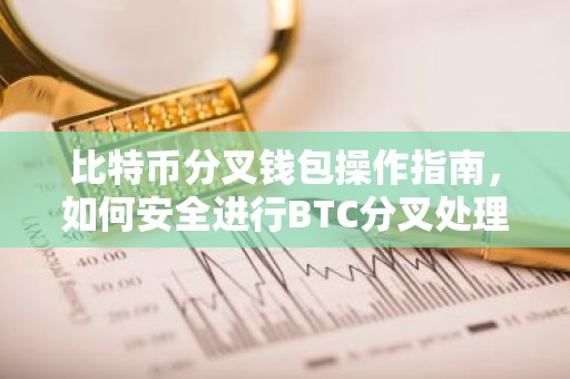 比特币分叉钱包操作指南，如何安全进行BTC分叉处理？