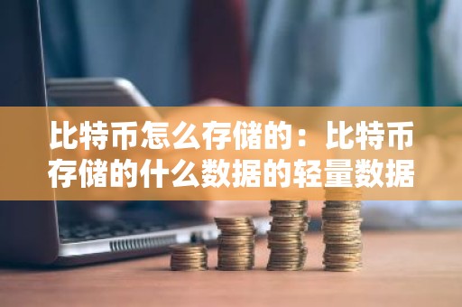 比特币怎么存储的：比特币存储的什么数据的轻量数据库