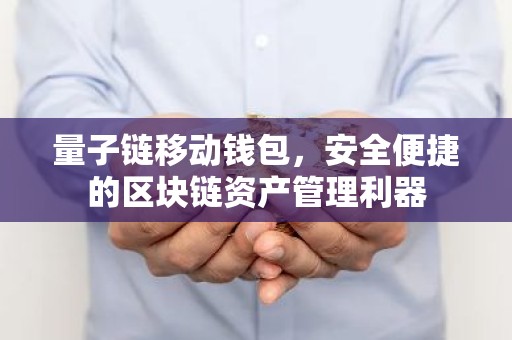 量子链移动钱包，安全便捷的区块链资产管理利器