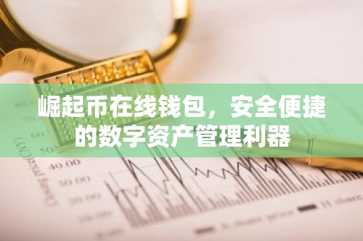 崛起币在线钱包，安全便捷的数字资产管理利器