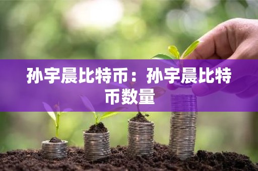 孙宇晨比特币：孙宇晨比特币数量