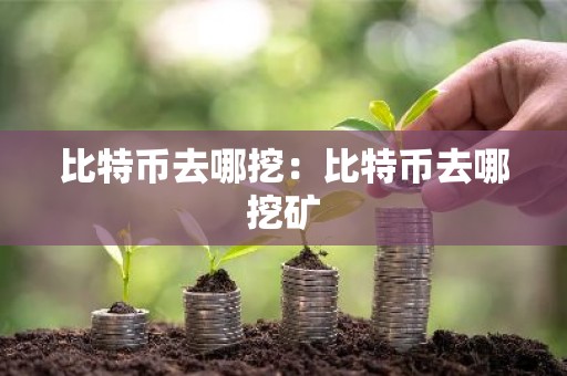 比特币去哪挖：比特币去哪挖矿