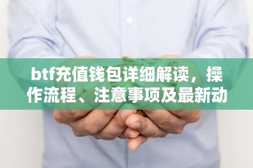 btf充值钱包详细解读，操作流程、注意事项及最新动态