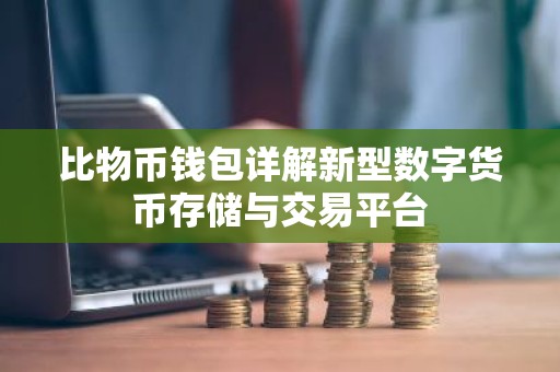 比物币钱包详解新型数字货币存储与交易平台