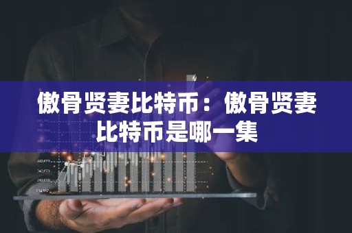 傲骨贤妻比特币：傲骨贤妻比特币是哪一集