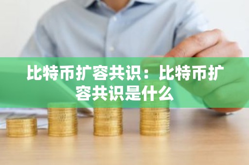 比特币扩容共识：比特币扩容共识是什么