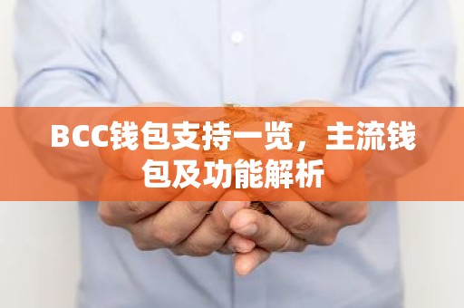 BCC钱包支持一览，主流钱包及功能解析