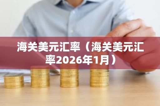 海关美元汇率（海关美元汇率2026年1月）