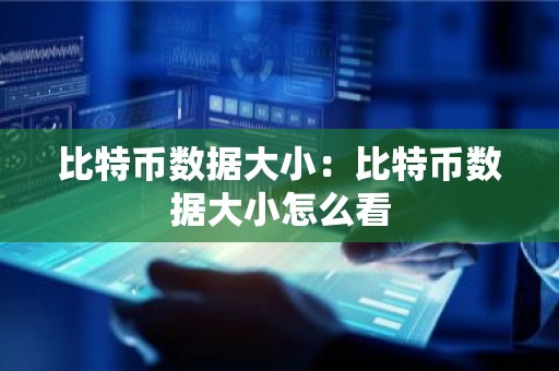 比特币数据大小：比特币数据大小怎么看