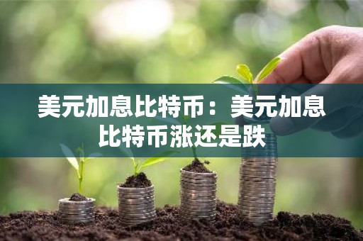 美元加息比特币：美元加息比特币涨还是跌