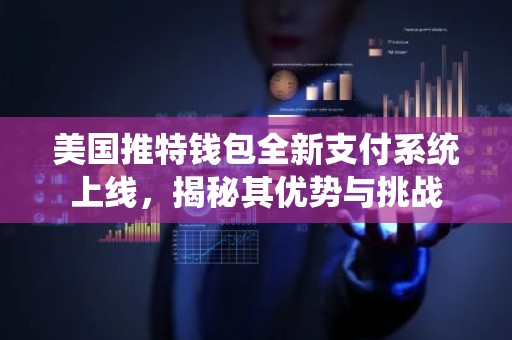 美国推特钱包全新支付系统上线，揭秘其优势与挑战