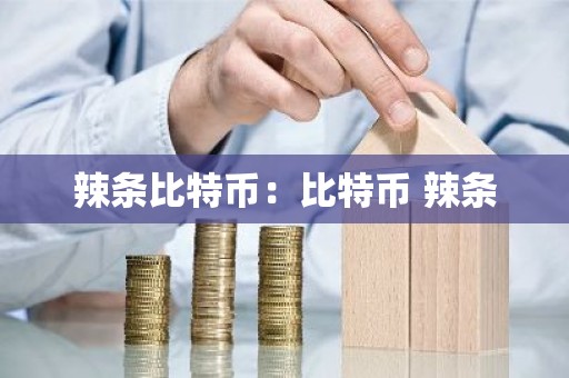 辣条比特币：比特币 辣条