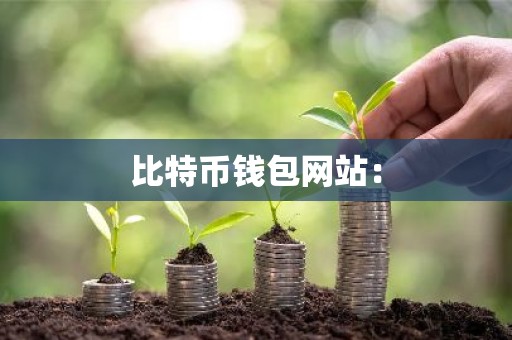 比特币钱包网站：