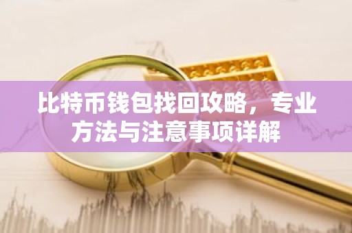 比特币钱包找回攻略，专业方法与注意事项详解