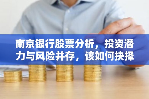 南京银行股票分析，投资潜力与风险并存，该如何抉择？