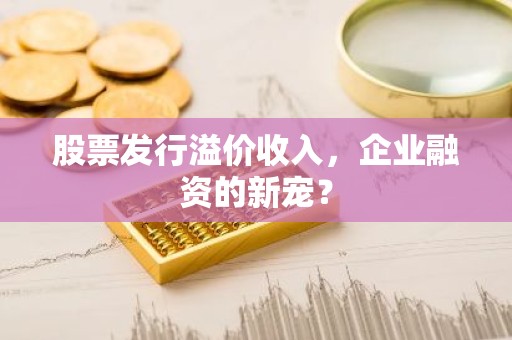 股票发行溢价收入，企业融资的新宠？