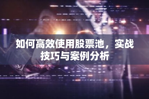 如何高效使用股票池，实战技巧与案例分析