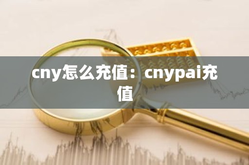 cny怎么充值：cnypai充值