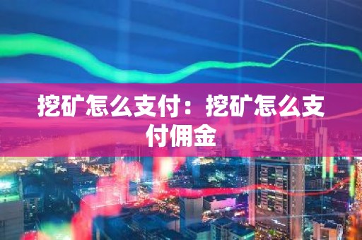 挖矿怎么支付：挖矿怎么支付佣金