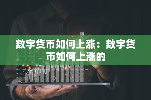 数字货币如何上涨：数字货币如何上涨的