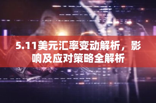 5.11美元汇率变动解析，影响及应对策略全解析