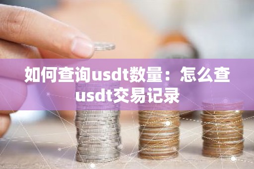 如何查询usdt数量：怎么查usdt交易记录